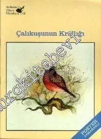 Çalıkuşunun Krallığı -        1986