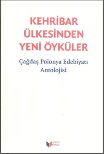 Kehribar Ülkesinden Yeni Öyküler - Çağdaş Polonya Edebiyatı Antolojisi