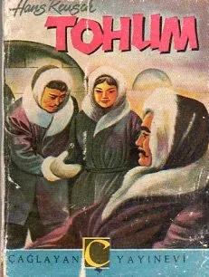 Tohum