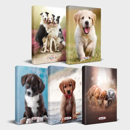 Köpek Temalı Defter Seti 5'li v2 - Halkkitabevi