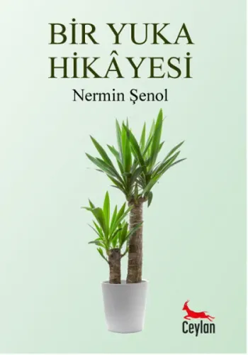 Bir Yuka Hikâyesi
