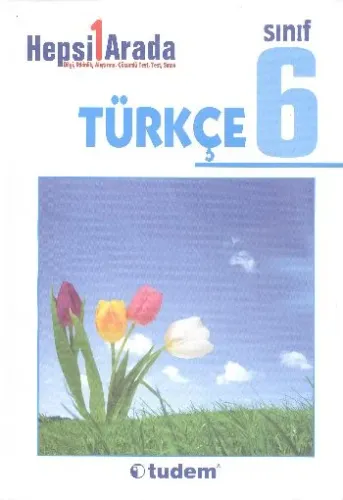 Tudem 6. Sınıf Türkçe Hepsi Bir Arada