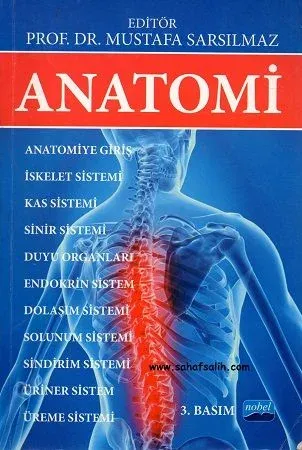 Anatomi