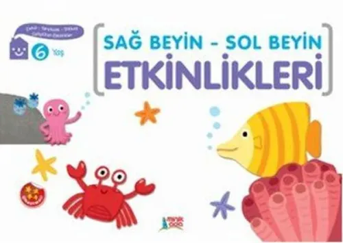 Sağ Sol Beyin Etkinlikleri 6 Yaş