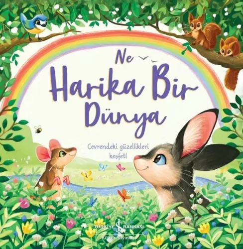 Ne Harika Bir Dünya;Çevrendeki Güzellikleri Keşfet!