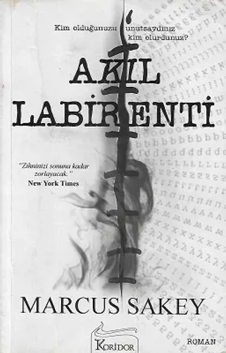 Akıl Labirenti
