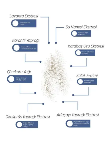 Hirudo - Bitkisel Ekstraklar Içeren Nefes Tazeleyici Ağız Spreyi