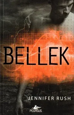Bellek