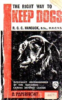 The Right Way To Keep Dogs