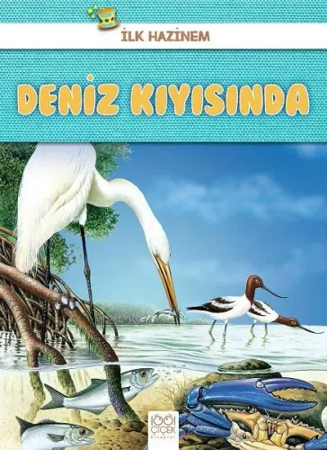 Deniz Kıyısında-İlk Hazinem