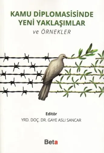Kamu Diplomasisinde Yeni Yaklaşımlar ve Örnekler