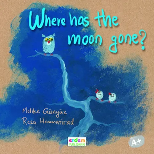 Where Has The Moon Gone?