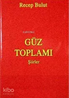 Güz Toplamı Şiirler