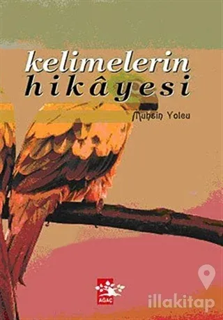 Kelimelerin Hikayesi