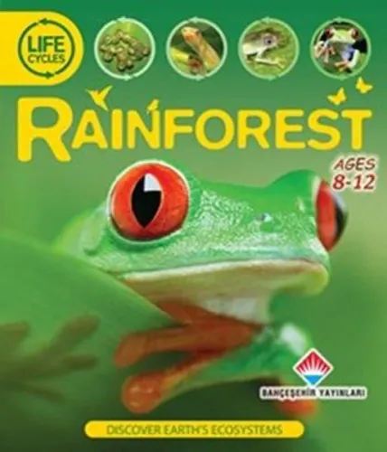 Life Cycles Rainforest 8 12 Ages