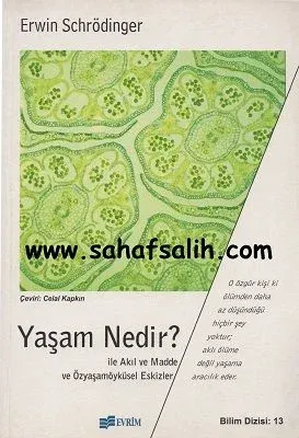 Yaşam Nedir?