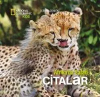 Afrika' da Safari: Çitalar
