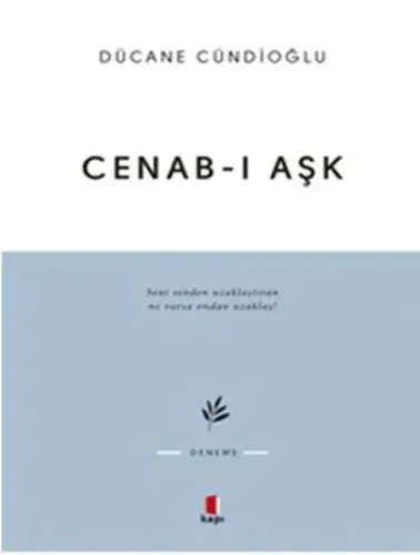 Cenab-ı Aşk