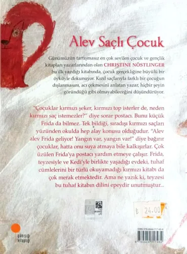 Alev Saçlı Çocuk Christine Nöstlinger Günışığı