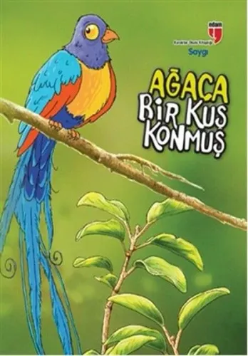 Ağaca Bir Kuş Konmuş - Saygı