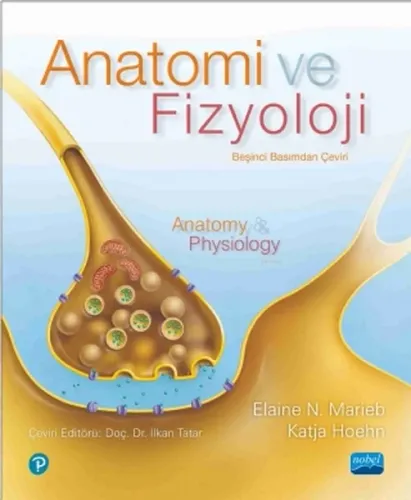 Anatomi Ve Fizyoloji - Anatomy & Physiology
