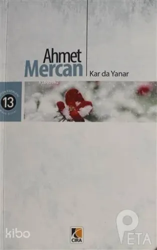 Kar da Yanar