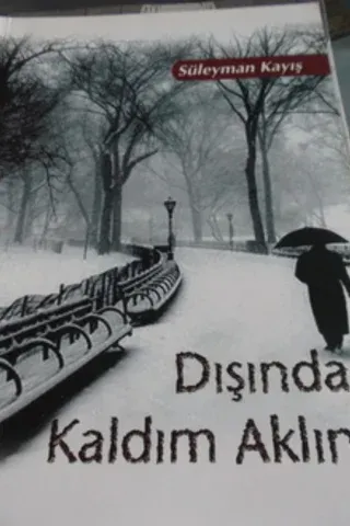 Dışında Kaldım Aklın