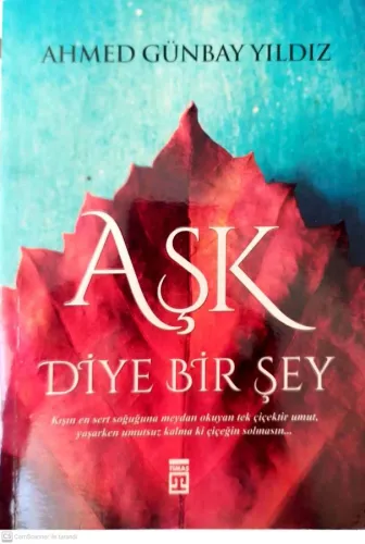 Aşk Diye Bir Şey