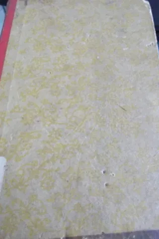 Şafakta Gitmiş Olacağım