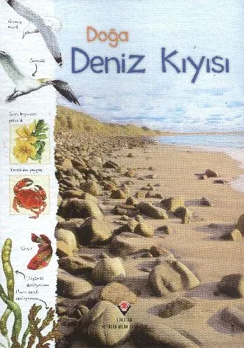 Doğa: Deniz Kıyısı (Ciltli)