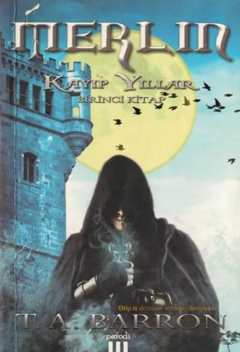 Merlin 1 / Kayıp Yıllar