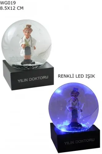 Kar Küresi Yılın Doktoru Bayan