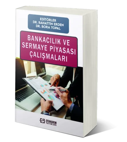 Bankacılık ve Sermaye Piyasası Çalışmaları