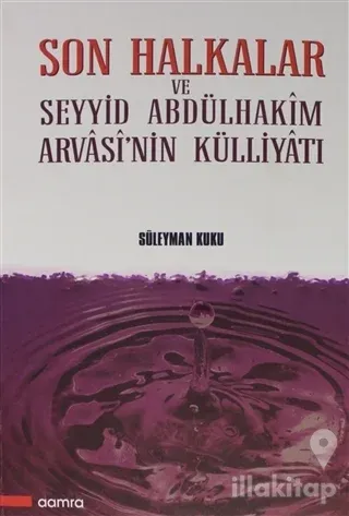 Son Halkalar ve Seyyid Abdülhakim Arvasi'nin Külliyatı (2 cilt) (Ciltli)