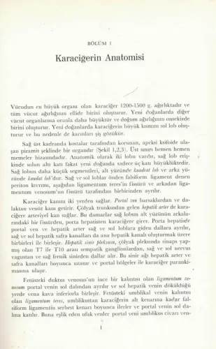 Karaciğer ve Safra Yolları Hastalıkları Sheila Sherlock Hacettepe Taş 