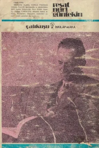Çalıkuşu Reşat Nuri Güntekin İnkılap Ve Aka Yayınevleri %70 indirimli