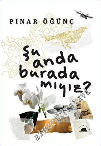 Şu Anda Burada Mıyız -         2023