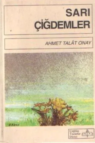 Sarı Çiğdemler