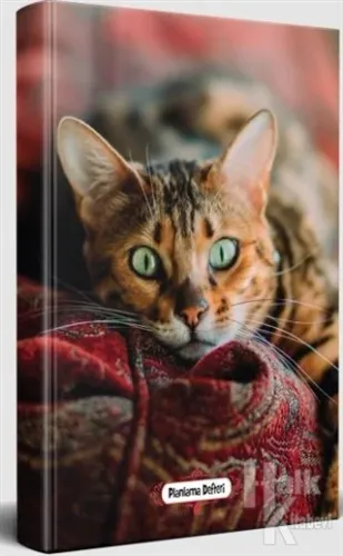 Şaşkın Kedi - Planlama Defteri - Halkkitabevi