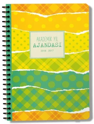 Akademik Yıl Ajansı 2016 - 2017