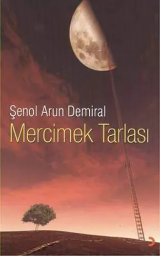 Mercimek Tarlası