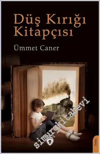 Düş Kırığı Kitapçısı -         2023