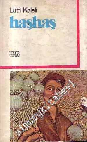 Haşhaş
