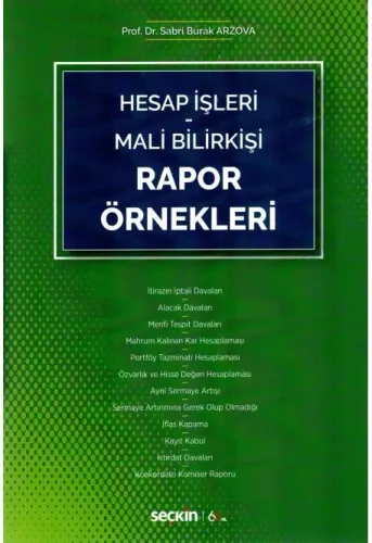 Hesap İşleri Mali Bilirkişi Rapor Örnekleri