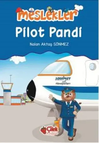 Pilot Pandi; Meslekler