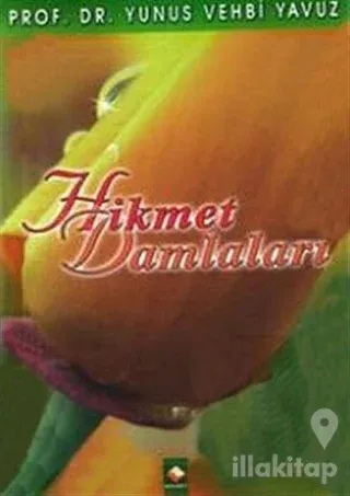 Hikmet Damlaları