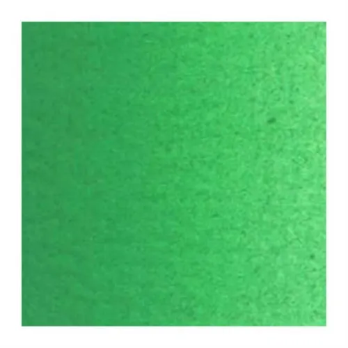 VAN GOGH 40ML YAĞLI BOYA EMERALD GREEN