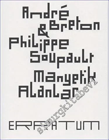 Manyetik Alanlar