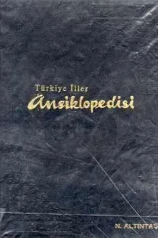 Türkiye İller Ansiklopedisi
