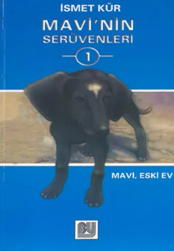 Eski Ev